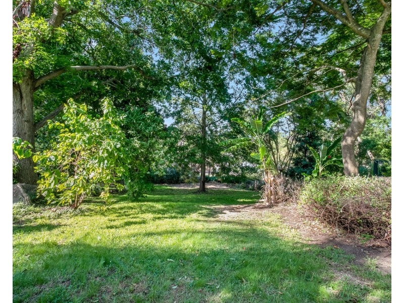 20 Weeroona Avenue, Elanora Heights NSW 2101