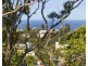 70 Woorarra Avenue, North Narrabeen NSW 2101
