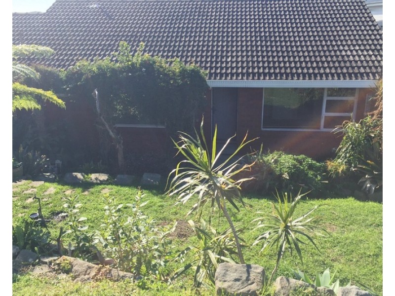 65 Alleyne Ave, North Narrabeen NSW 2101