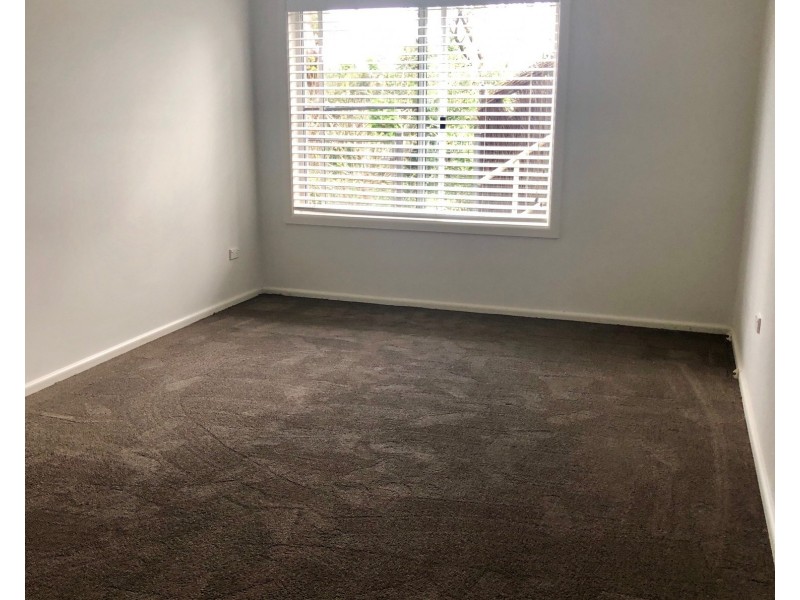 8a Scotney Place, Collaroy Plateau NSW 2097