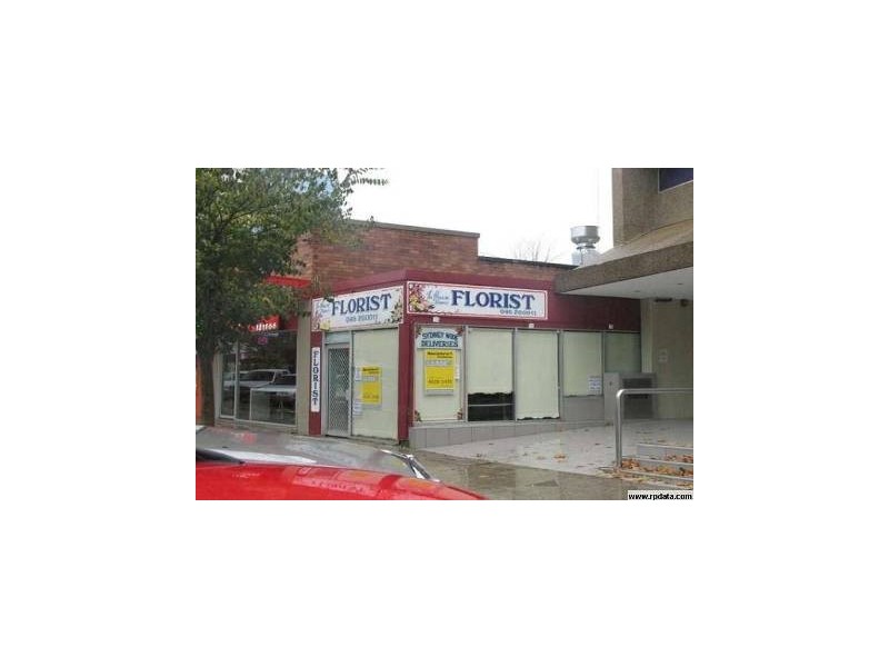 176 Queen Street, Campbelltown NSW 2560