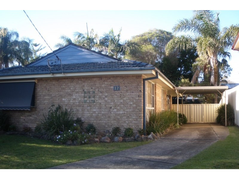 12 Ivanhoe Street, Ingleburn NSW 2565