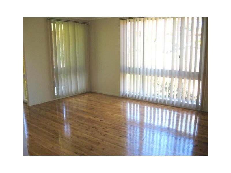 51 Randall Avenue, Minto NSW 2566