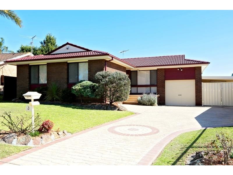 3 Wheeler Place, Minto NSW 2566