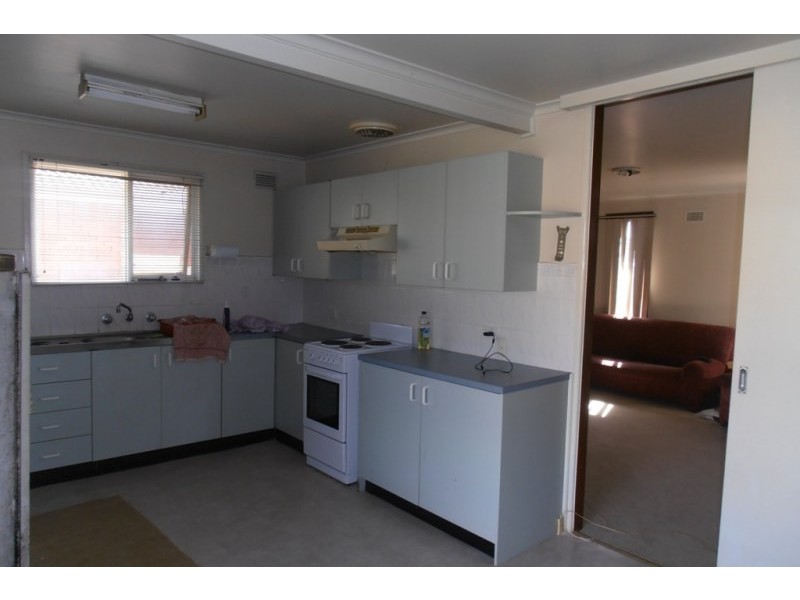 62 Currawong Street, Ingleburn NSW 2565