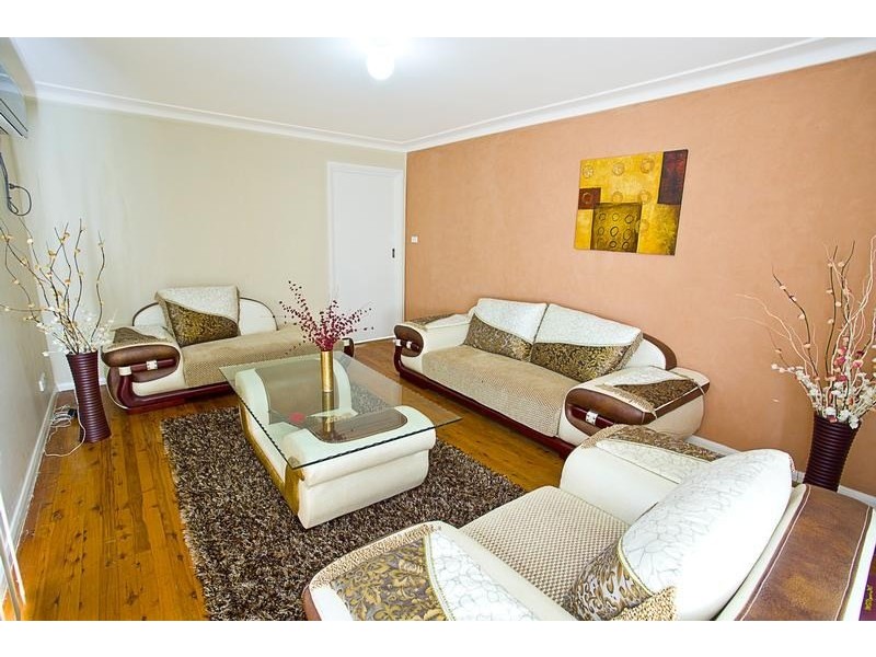 17 Alliott Street, Bradbury NSW 2560