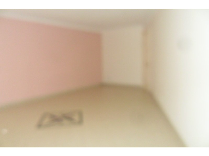 14 Morgan Street, Ingleburn NSW 2565