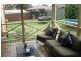 41 Delaunay Street, Ingleburn NSW 2565