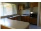 96 Lancia Drive, Ingleburn NSW 2565
