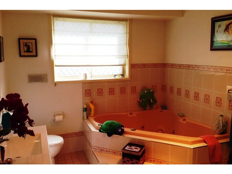 4 MacKay Place, Leumeah NSW 2560