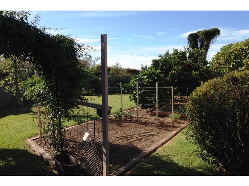 11 Clement Place, Ingleburn NSW 2565