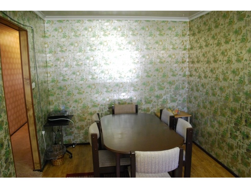 123 Lancia Drive, Ingleburn NSW 2565