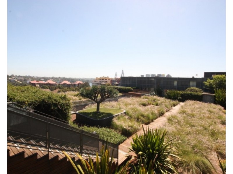 08/380 Harris Street, Pyrmont NSW 2009