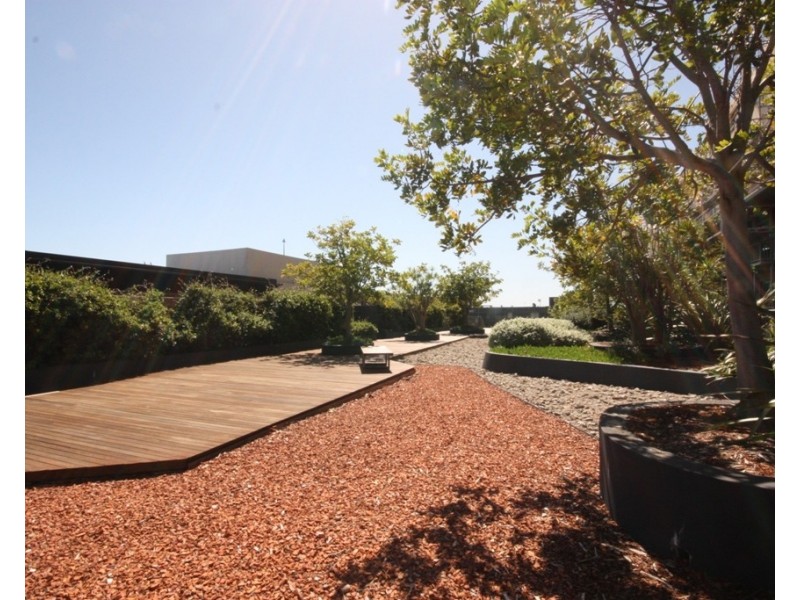 08/380 Harris Street, Pyrmont NSW 2009