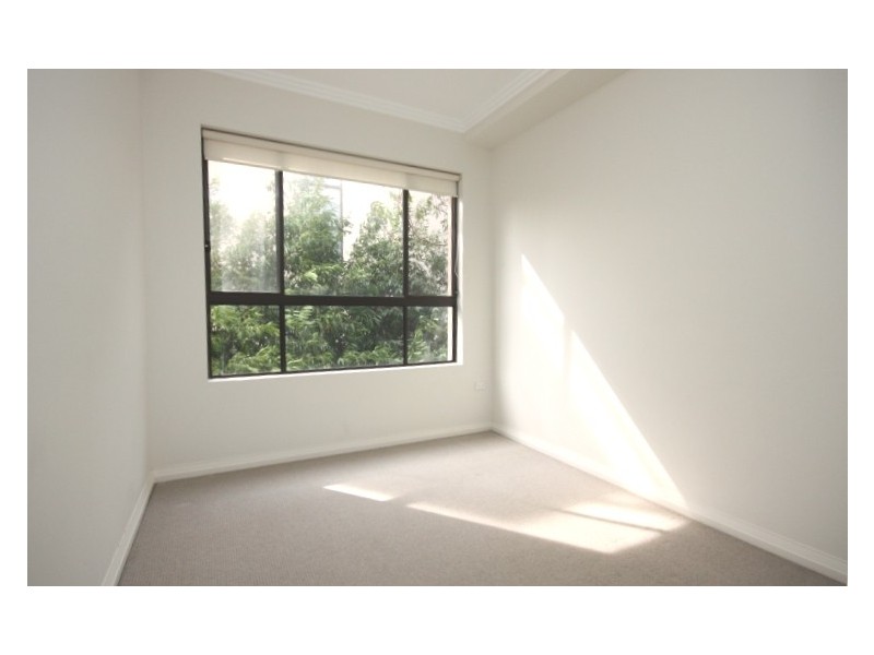 81 Bertram Street, Concord NSW 2137