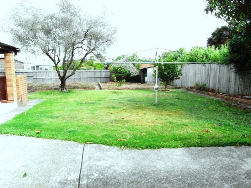 56 Empire Street, Haberfield NSW 2045