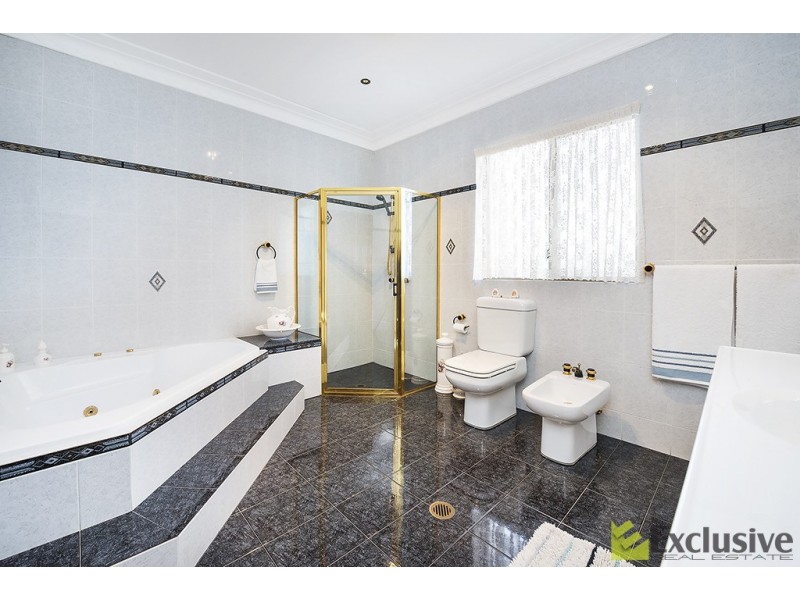 14 Shipley Avenue, North Strathfield NSW 2137