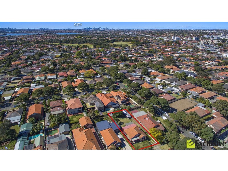 3 Thornleigh Avenue, Concord NSW 2137