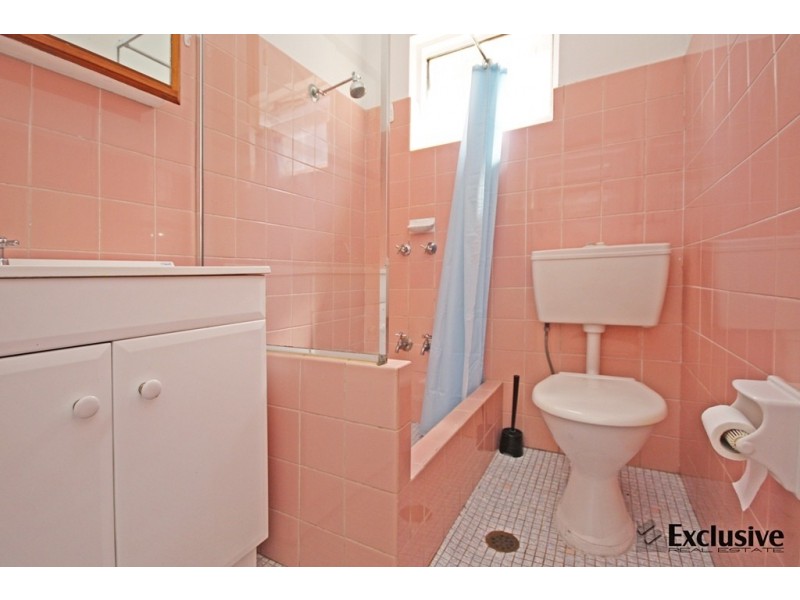 19 Cavendish Street, Concord West NSW 2138