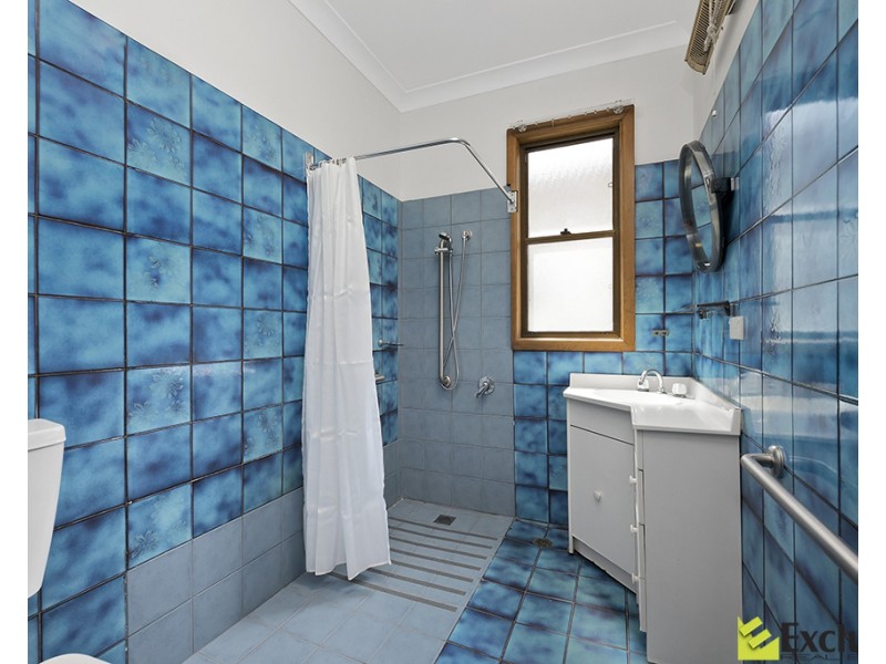 25 Therry Street East, Strathfield South NSW 2136