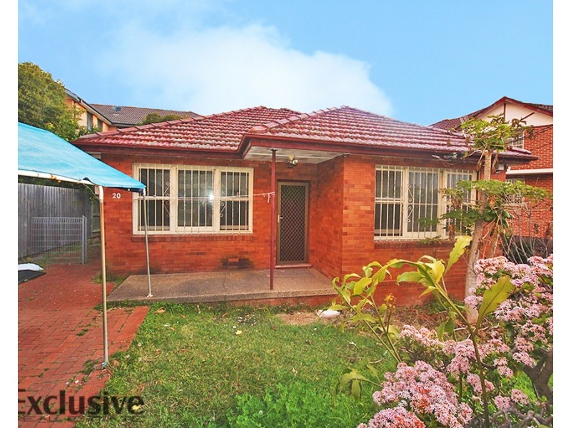 20 Boundary Street, Croydon NSW 2132