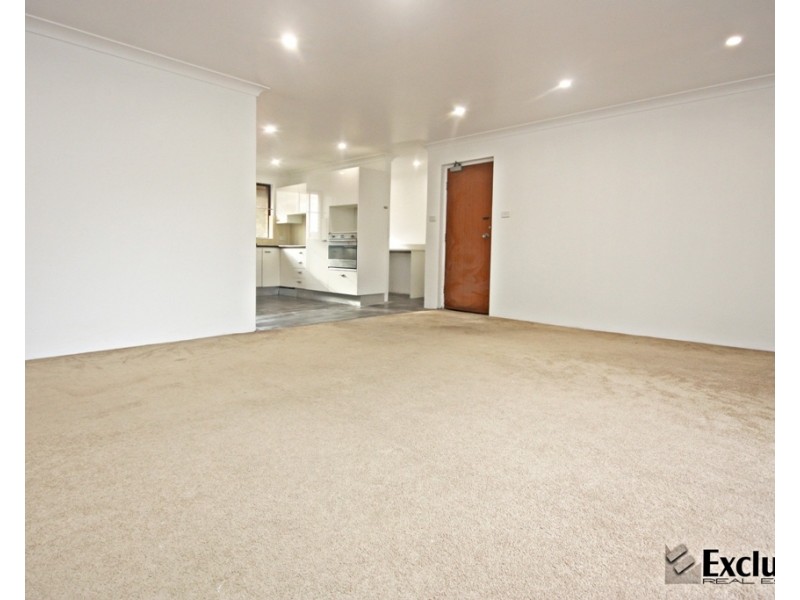 17 Queen Street, North Strathfield NSW 2137