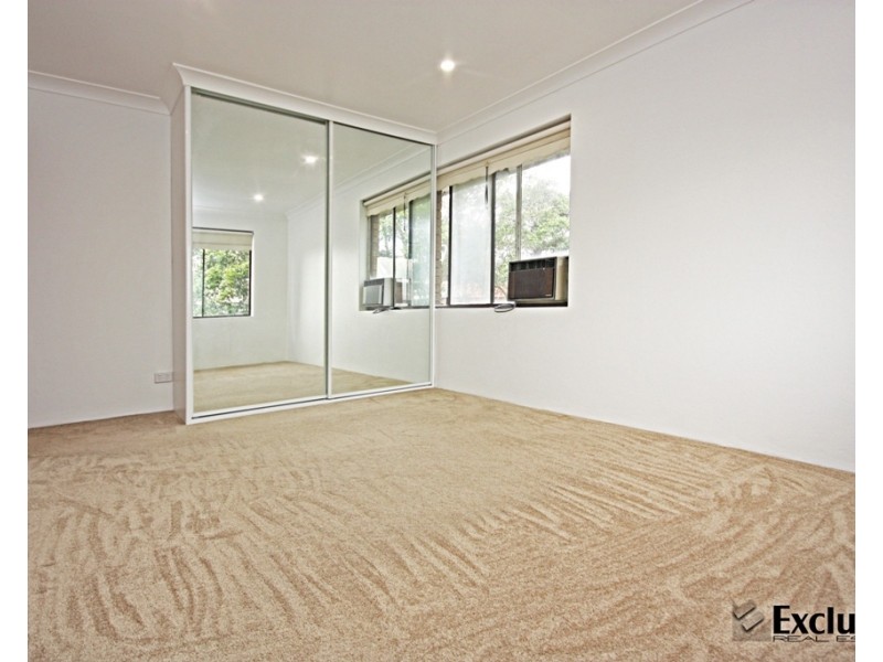 17 Queen Street, North Strathfield NSW 2137