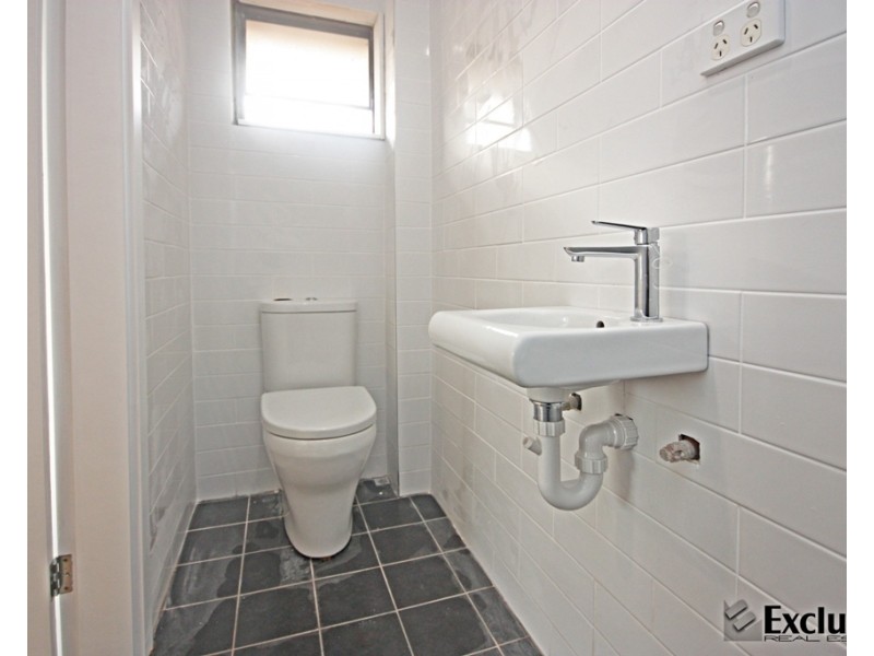 17 Queen Street, North Strathfield NSW 2137