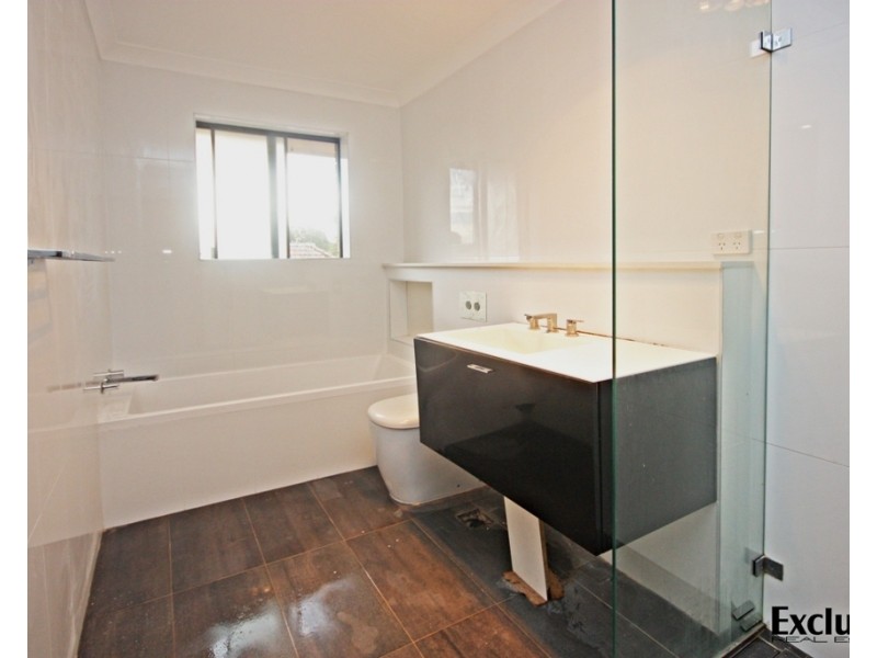 17 Queen Street, North Strathfield NSW 2137