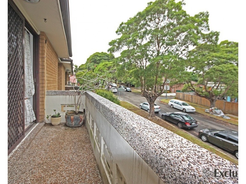 17 Queen Street, North Strathfield NSW 2137