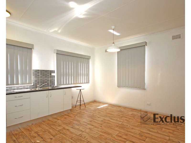 45 Norval Street, Auburn NSW 2144