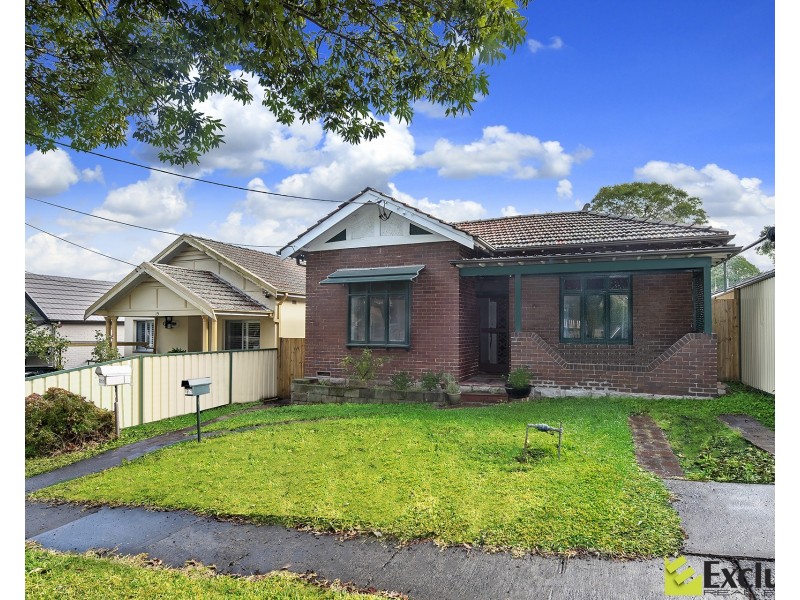 17 Princess Avenue, North Strathfield NSW 2137