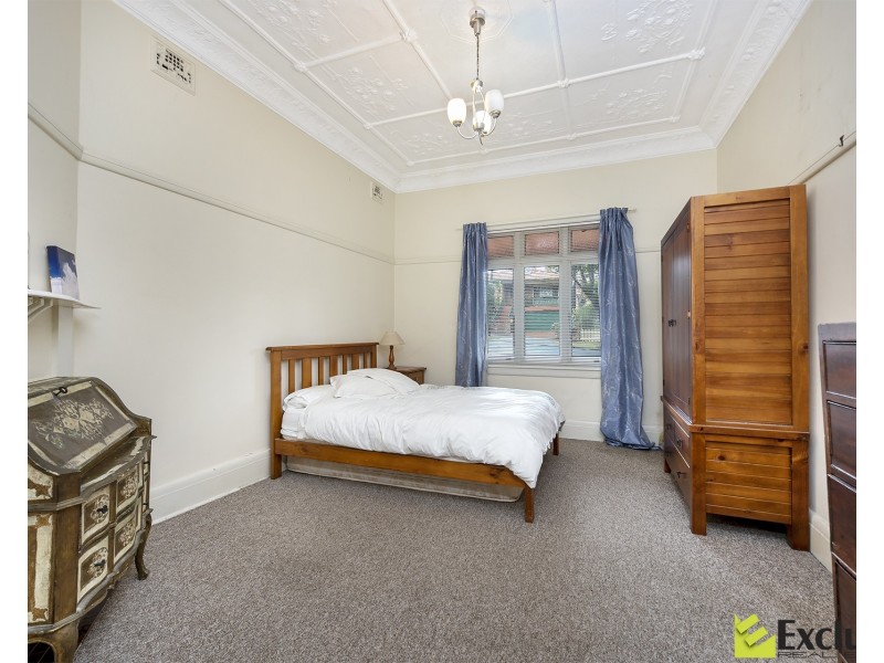 17 Princess Avenue, North Strathfield NSW 2137