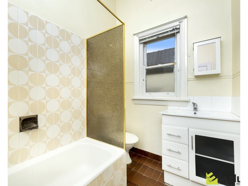 17 Princess Avenue, North Strathfield NSW 2137