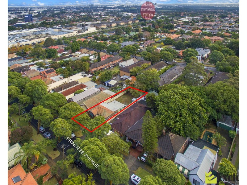 17 Princess Avenue, North Strathfield NSW 2137