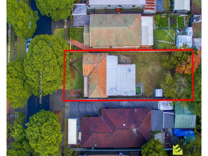 17 Princess Avenue, North Strathfield NSW 2137