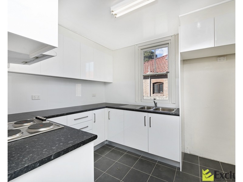 3 Thornleigh Avenue, Concord NSW 2137