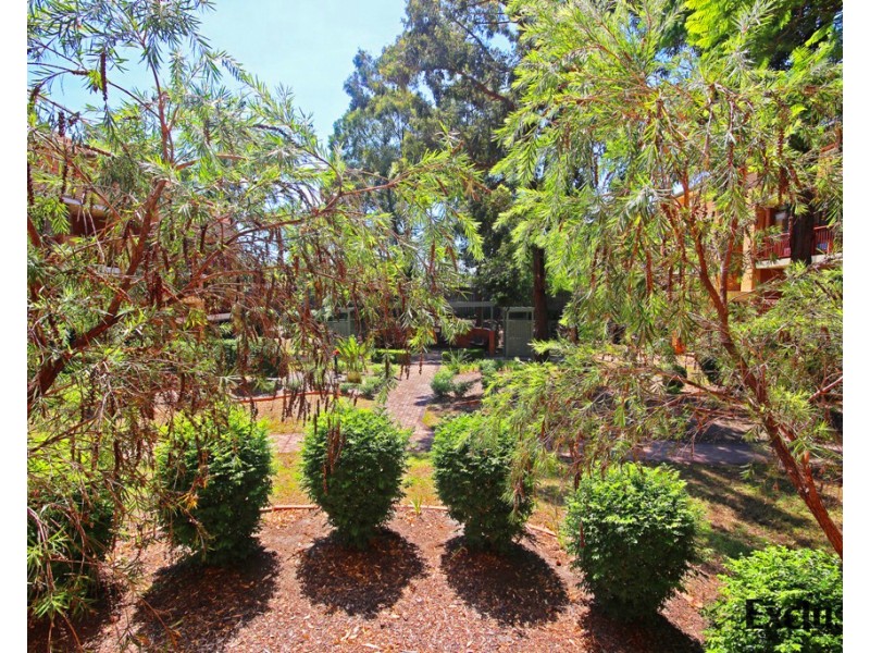 17F/19-21 George Street, North Strathfield NSW 2137