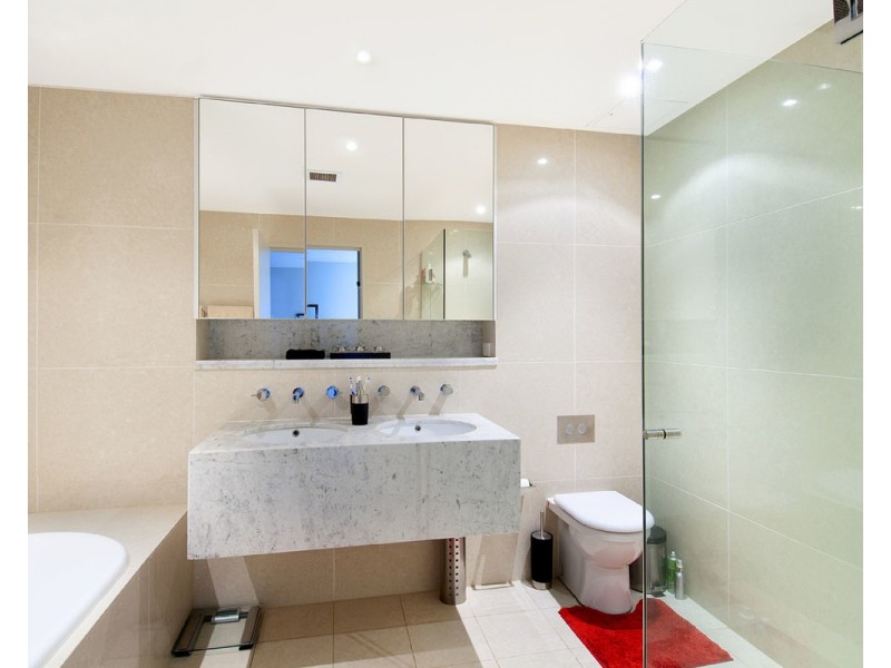 202/17 Jean Wailes Avenue, Rhodes NSW 2138