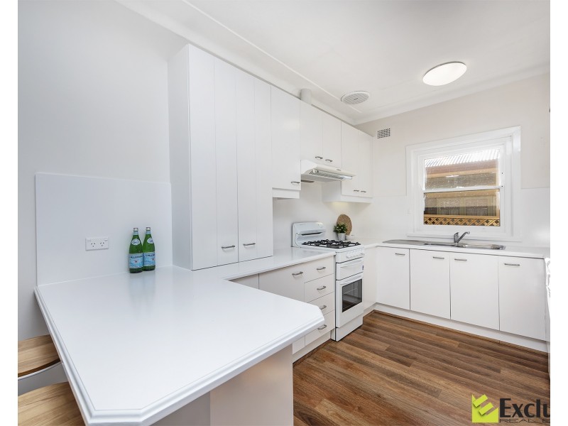 20 Boronia Street, Concord West NSW 2138