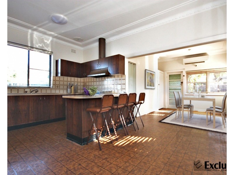 58 Hawthorne Parade, Haberfield NSW 2045