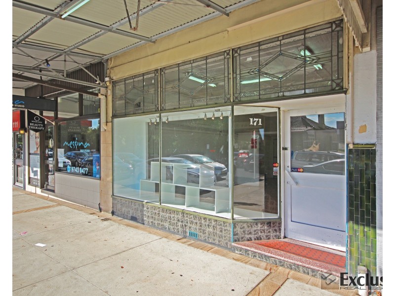 171 Concord Road, North Strathfield NSW 2137