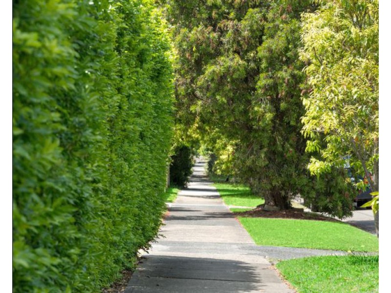 21 Lumsdaine Avenue, East Ryde NSW 2113