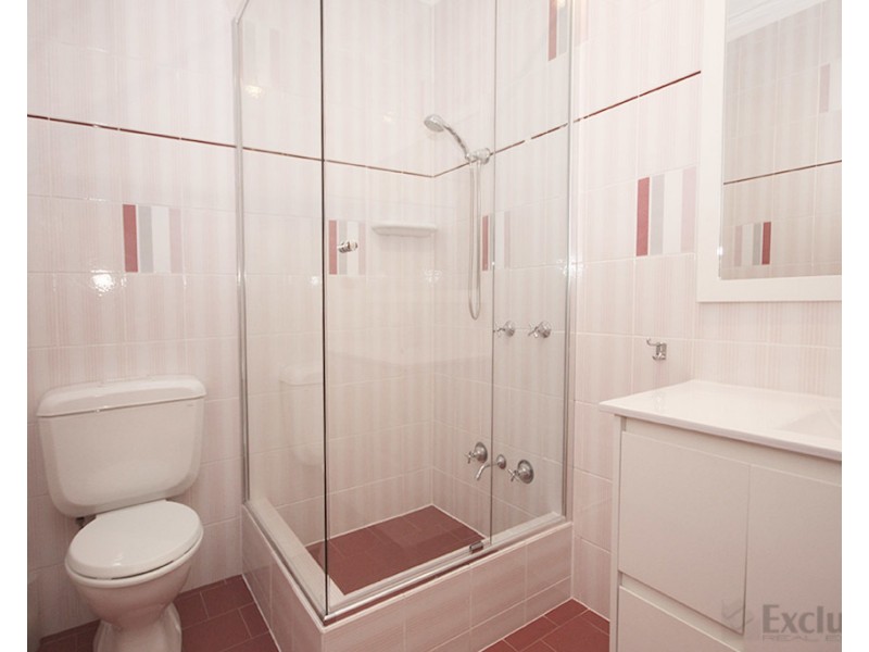 53A Thompson Street, Gladesville NSW 2111