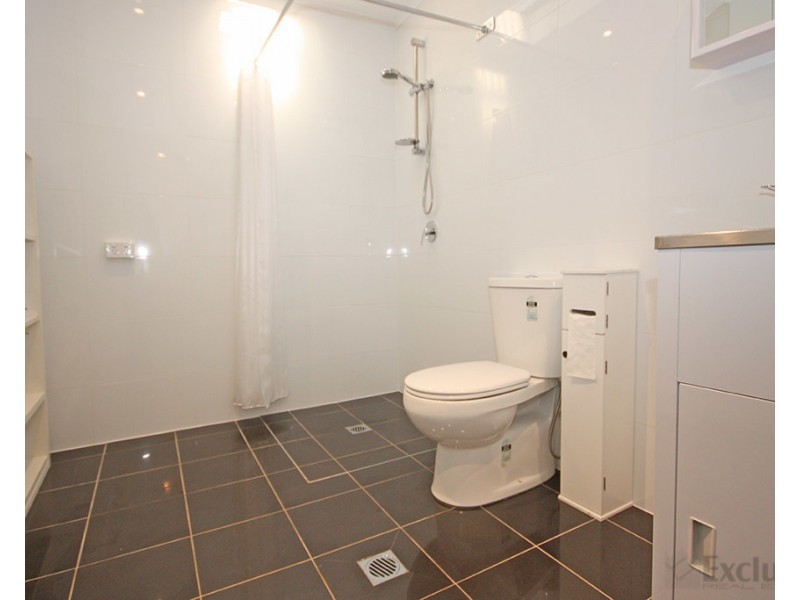 53A Thompson Street, Gladesville NSW 2111