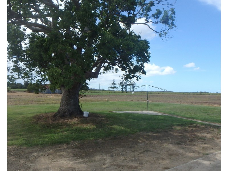 359 Riverbank Road, Pimlico NSW 2478