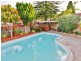 119 Tallawalla Street, Beverly Hills NSW 2209
