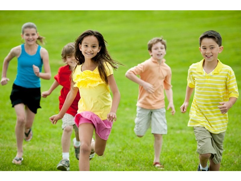 Lot 414, Pinot Loop, Pearsall WA 6065