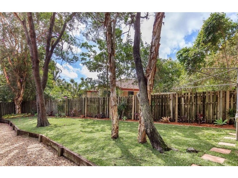 26 Stormbird Drive, Noosa Heads QLD 4567