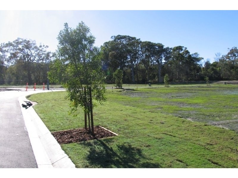 40 Brushbox Circuit, Peregian Springs QLD 4573